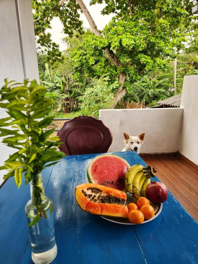 King Coco House Apartment Dikwella Ngoại thất bức ảnh